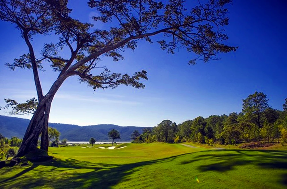 san-golf-da-ron (1).jpg