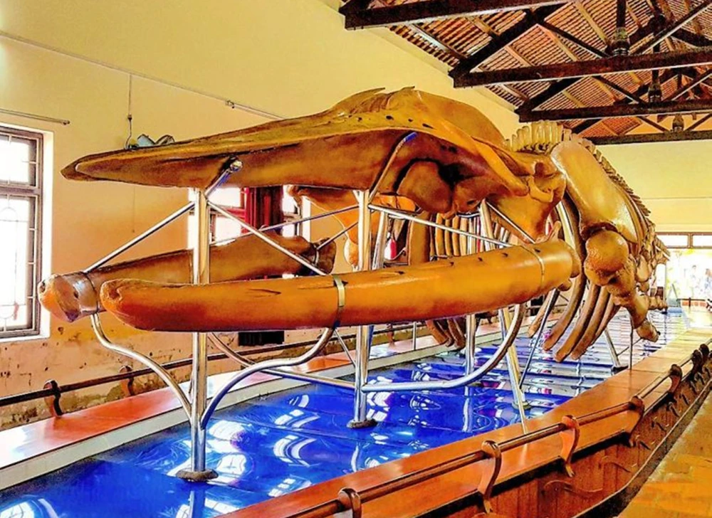 lang-chai-mui-ne (1).jpg