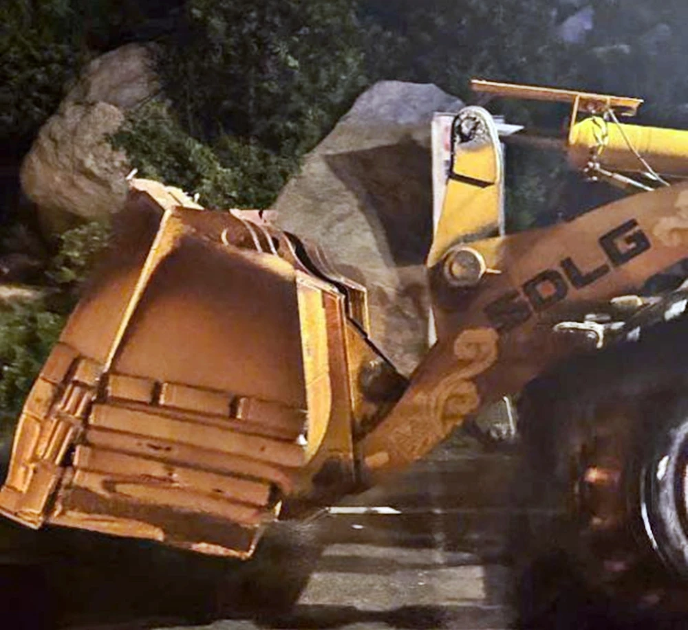 cuc-duong-bo (1).jpg