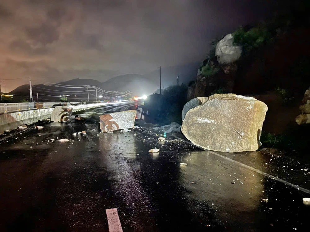 cuc-duong-bo (2).jpg