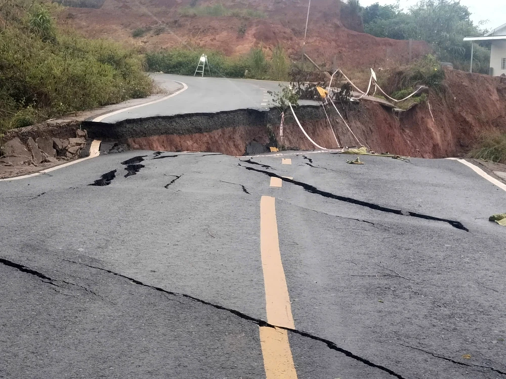 cuc-duong-bo (2).jpg