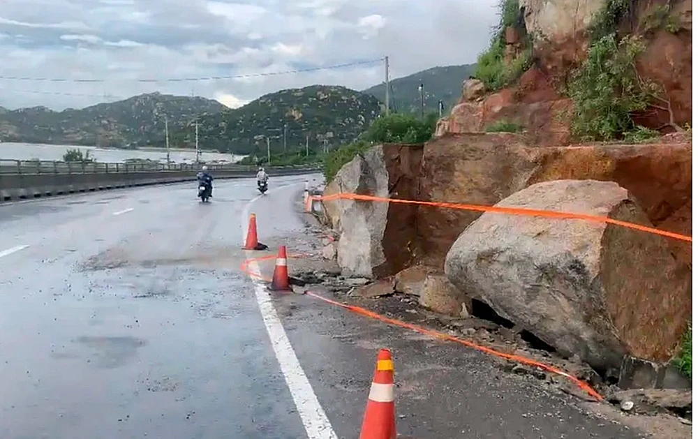 cuc-duong-bo (3).jpg