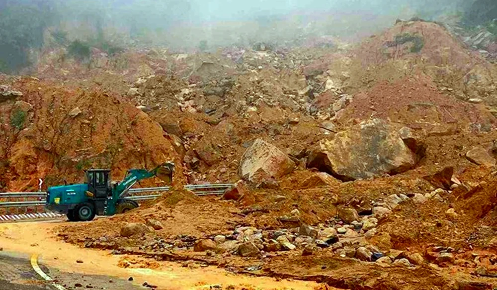 cuc-duong-bo (1).jpg