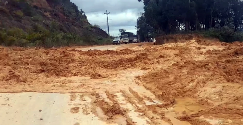 cuc-duong-bo (1).png