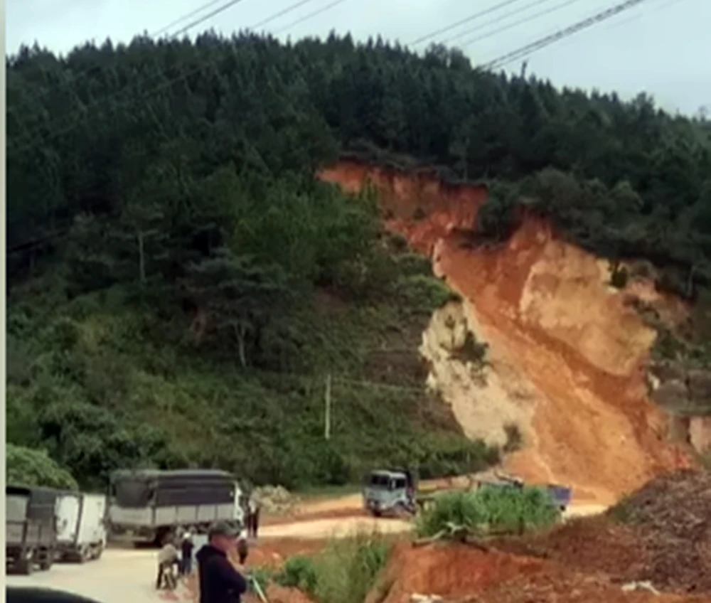 cuc-duong-bo (2).png