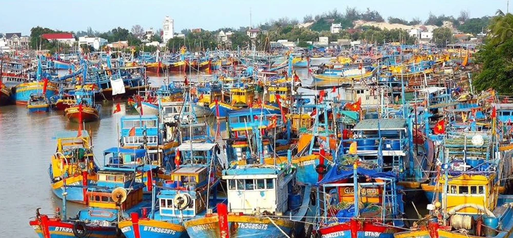 hang-chuc-tau-ca (2).jpg