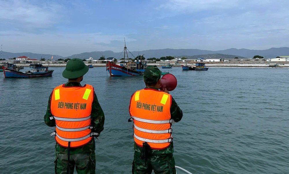 hàng chục tàu cá