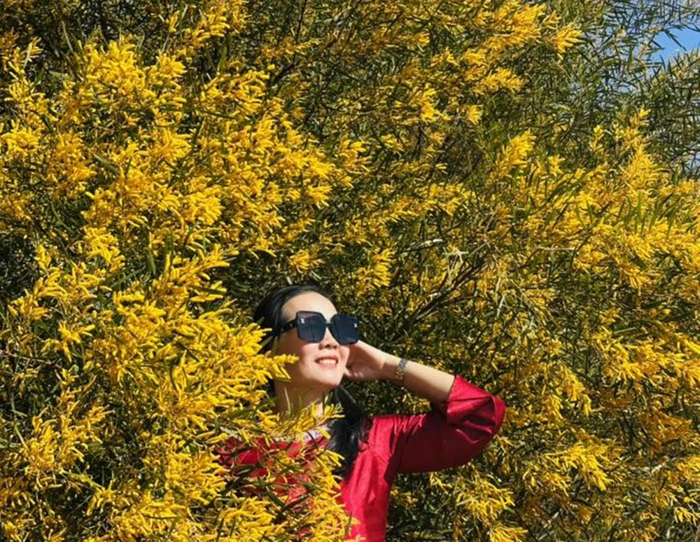 mua-hoa-tram (13).jpg