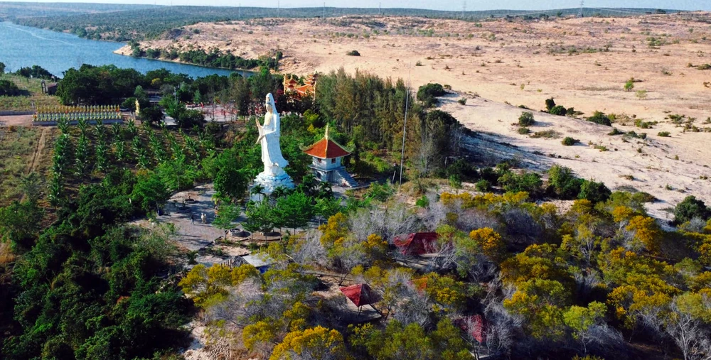 mua-hoa-tram (6).jpg