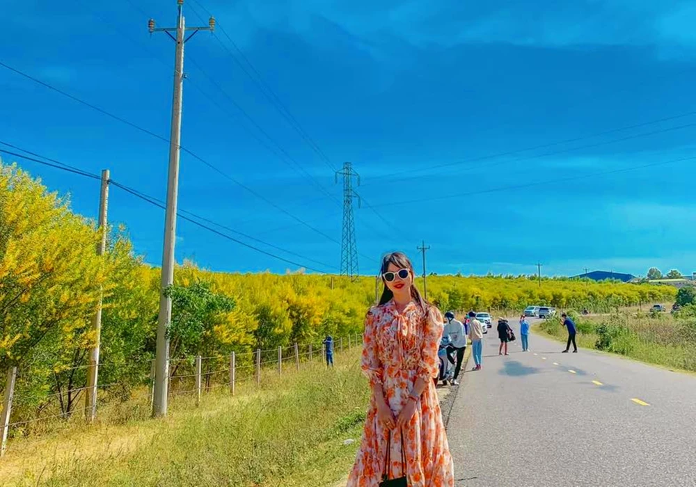 mua-hoa-tram (9).jpg