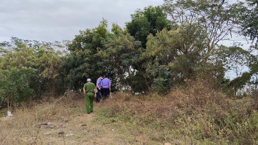 bộ xương người