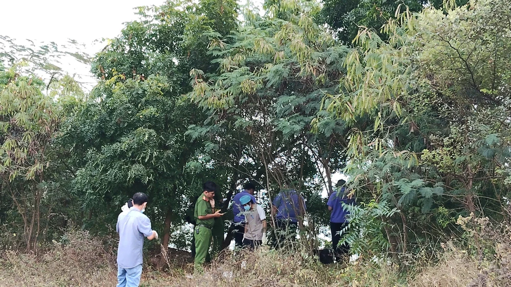 bộ xương người