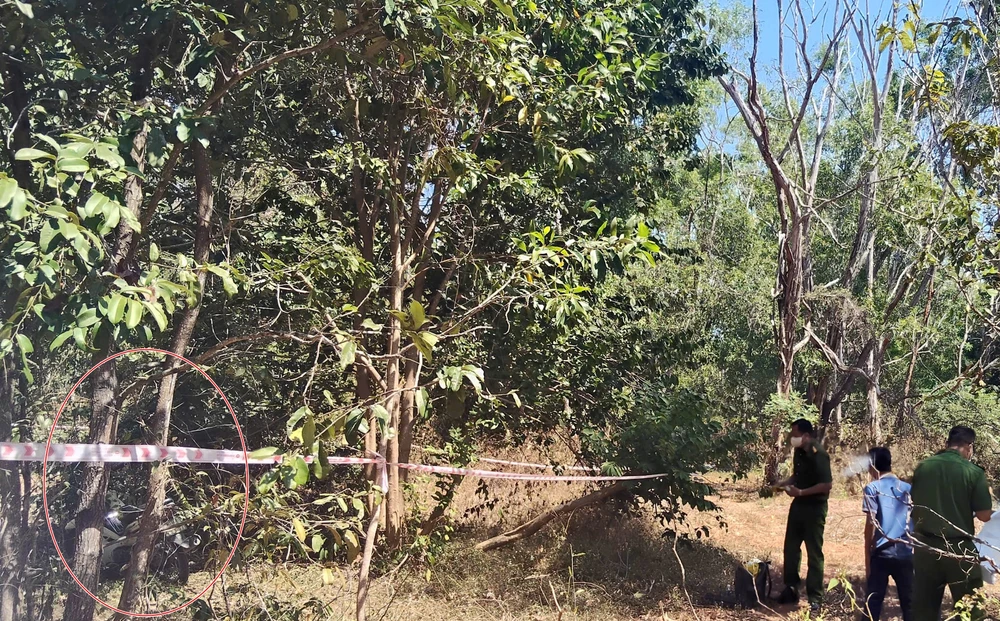 nguoi-dan-ong (2).jpg