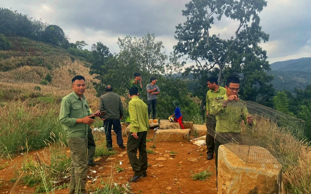 dai-bang-nui (3).jpg