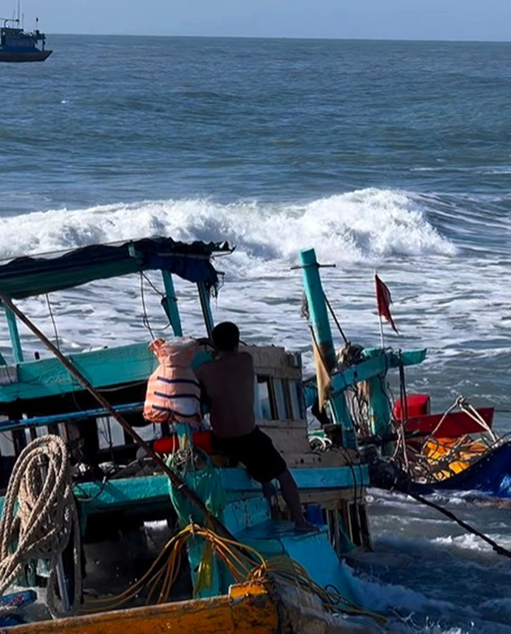 Cua-bien-la-gi (1).jpg