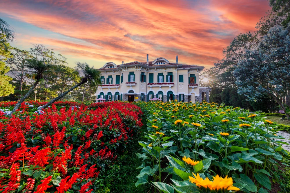 du-an-ton-dong (3).jpg