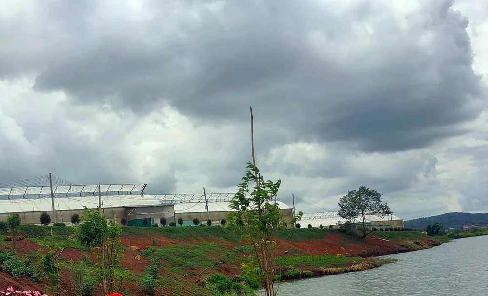 tai nạn lao động