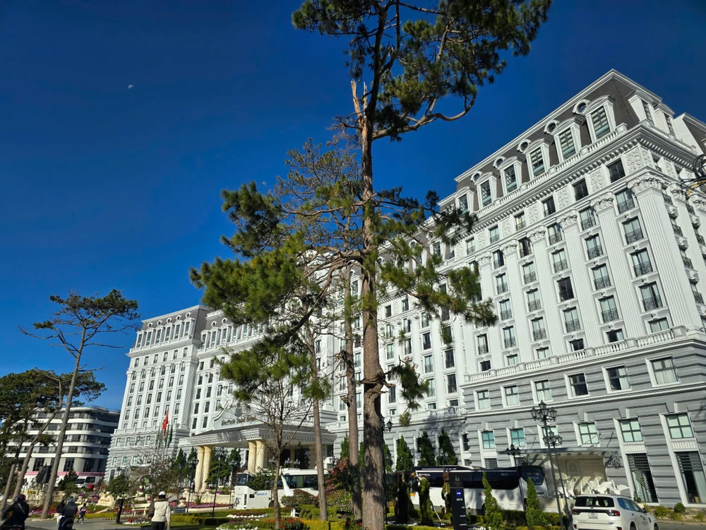 dinh-bao-dai (4).jpg