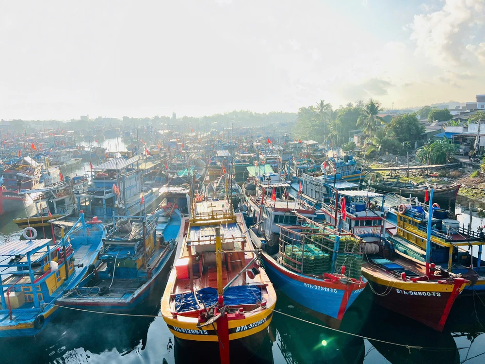 thuyen-vien-mat-tich (2).jpg