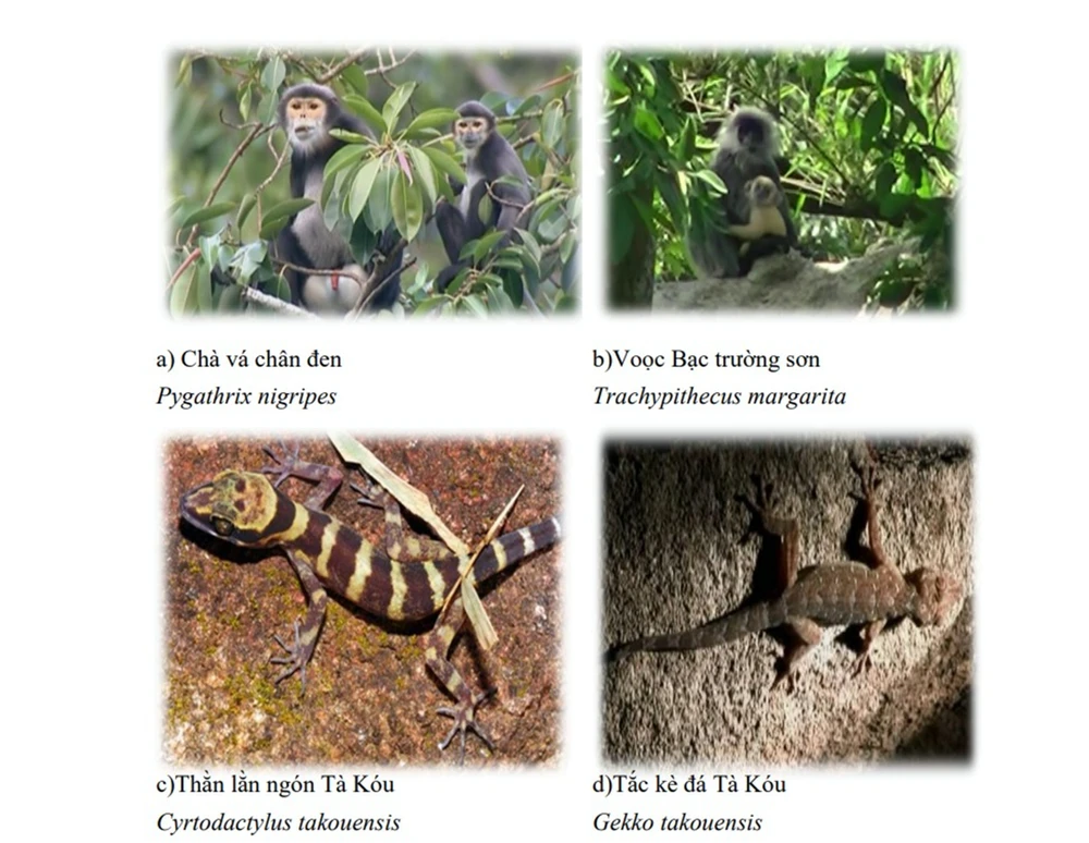 khu-du-tru-thien-nhien (1).jpg