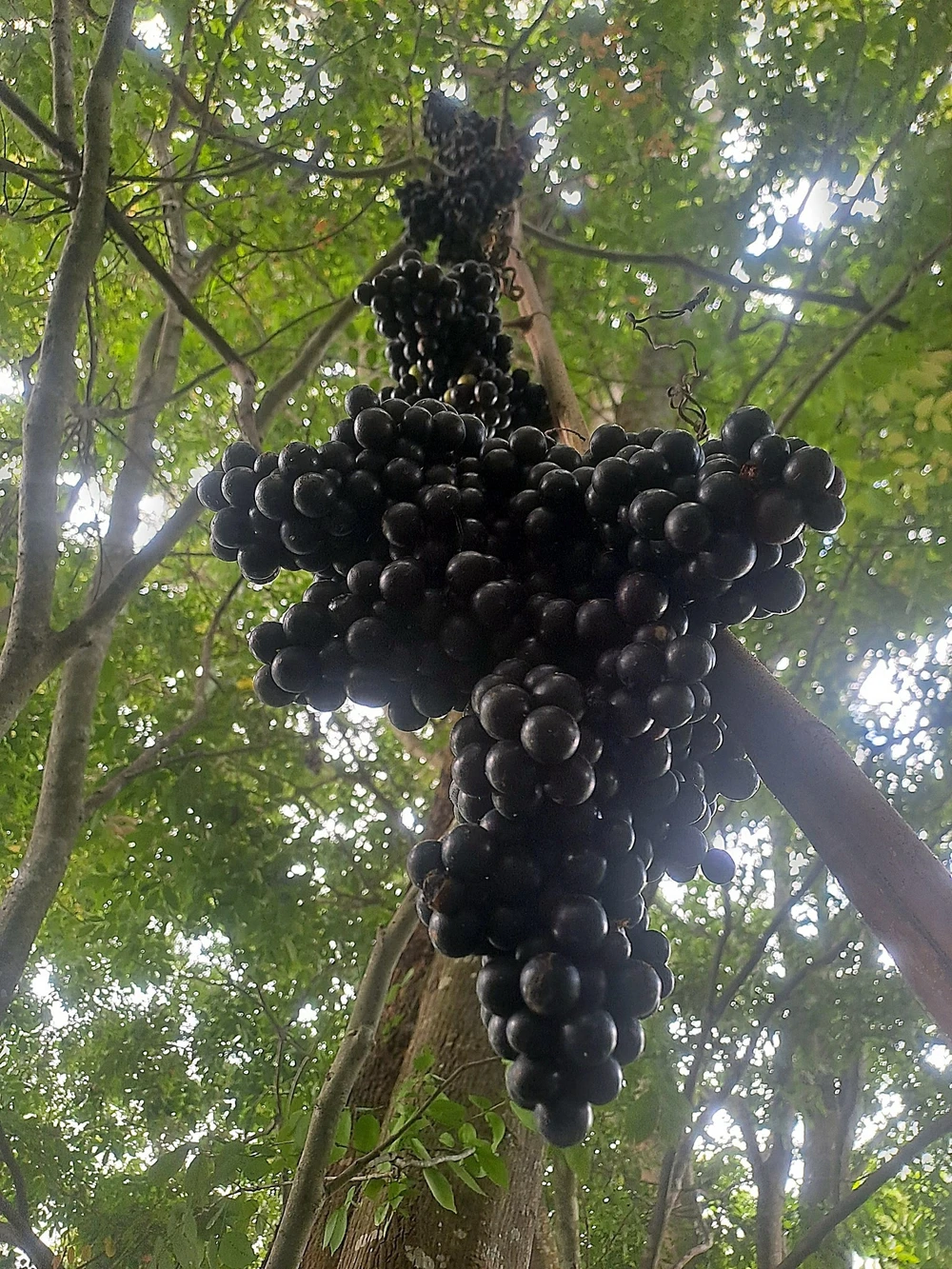 khu-du-tru-thien-nhien (4).jpg