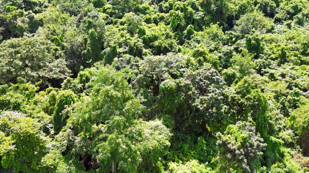 khu-du-tru-thien-nhien (8).jpg