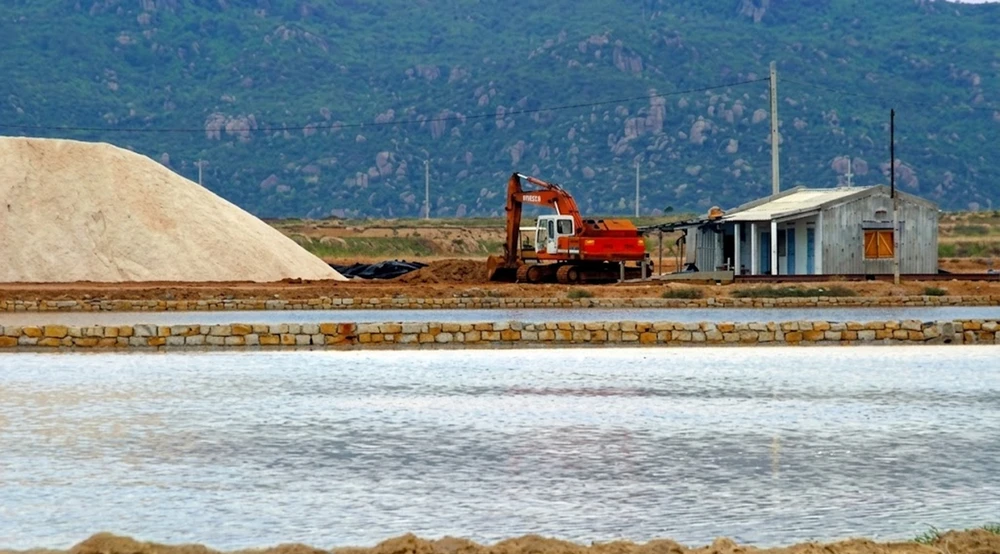 đồng muối Thông Thuận