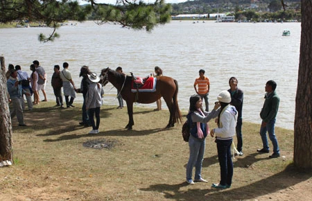 Rủ nhau du xuân tiết kiệm ảnh 2