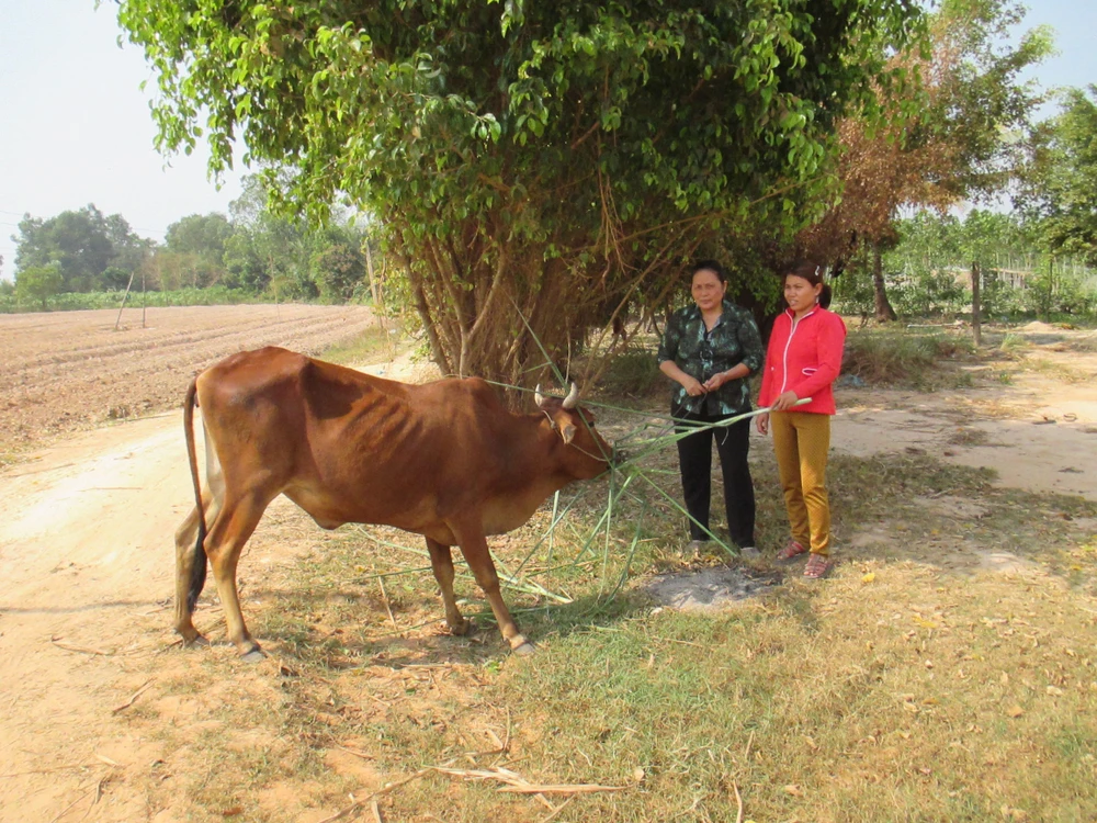 Làm lại cuộc đời với nhóm tự lực ảnh 1