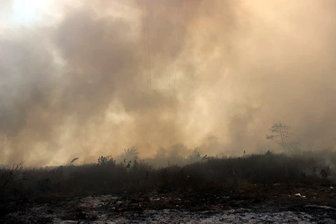 Cháy cỏ; Dĩ An; Bình Dương