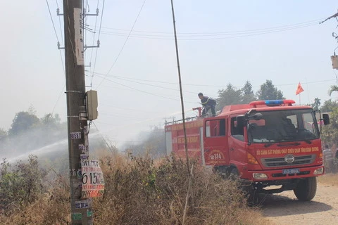 Cháy cỏ; Dĩ An; Bình Dương