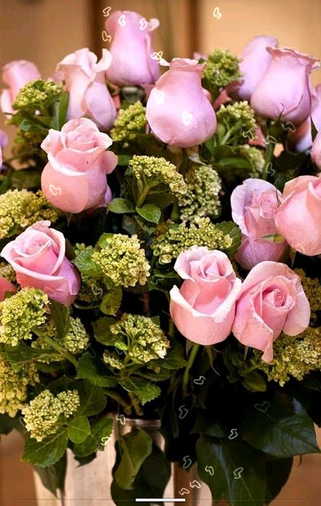 Download bộ hình nền động miễn phí tại&nbsp;