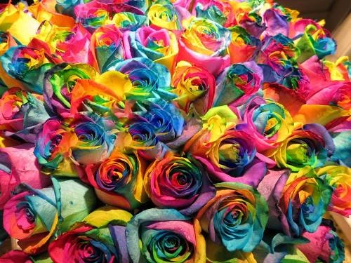 1964408-669765309736323-181444-2838-5217