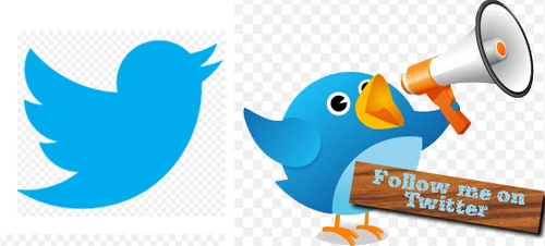 Twitter's crisp little logo was stumbled upon, rather than hatched by an advert team. The site's founders were looking on iStockphoto, a popular source for stock pictures, when they came across a bird drawing by a contributor named Simon Oxley. They bought the design (along with a robot drawing which appears when a link is broken) and used it (but have since redesigned it to its minimal, modern look). *Fun fact, the mascot's name is Larry (which mysteriously bears a similarity to famous basketball player, Larry Bird).