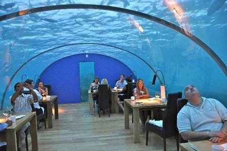 Những nhà hàng đặc biệt và khác thường nhất trên thế giới