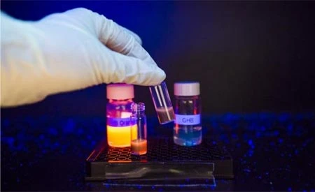 chất kích dục, xét nghiệm nhanh, đồ uống, yêu râu xanh, cưỡng hiếp, thuốc mê chất kích dục, xét nghiệm nhanh, đồ uống, yêu râu xanh, cưỡng hiếp, thuốc mê