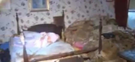 2 người phụ nữ sống cùng hơn 100 con mèo trong điều kiện ô nhiễm