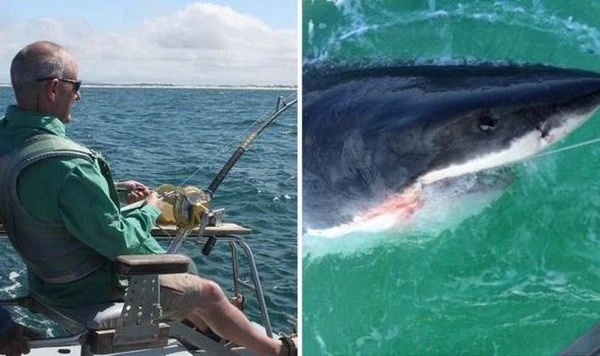 Phát hoảng khi câu được con cá mập trắng khổng lồ ảnh 1