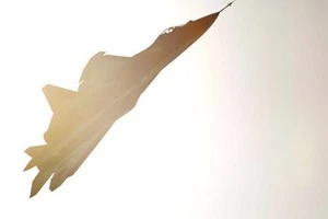 (Nguồn: en.ria.ru)