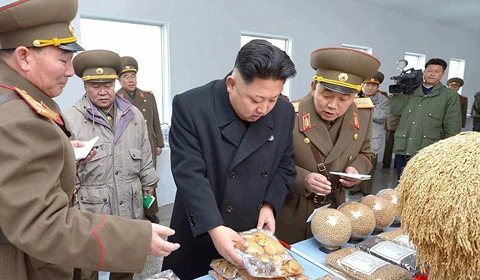 pho-mát, Triều Tiên, Kim Jong-un