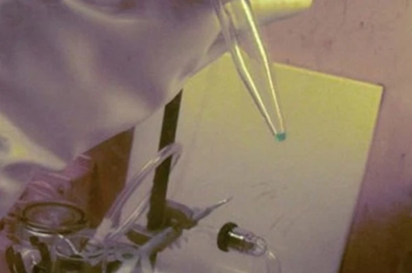 nguyên tố, hóa học, 117, Ununseptium, xác nhận, khoa học, độc lập