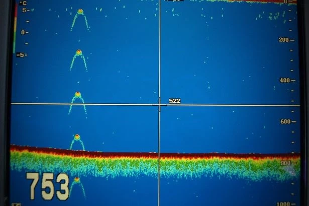 Quái vật hồ Loch Ness tiếp tục xuất hiện một cách bí ẩn? ảnh 1