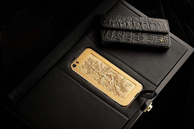  iPhone 5S vỏ vàng giá 180 triệu đồng ảnh 4