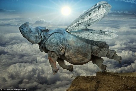 Phạm Thế Quang Huy