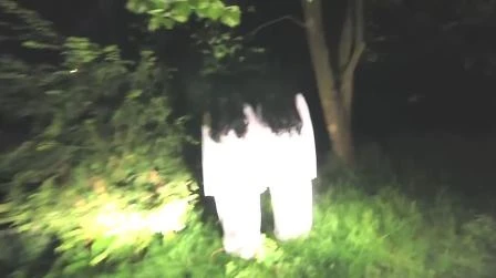 Dọa ma bạn để trả thù ảnh 1 Màn dọa ma được anh