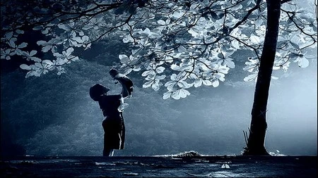 Phạm Thế Quang Huy