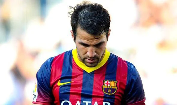 Lý do lãng xẹt khiến M.U vồ hụt Fabregas ảnh 1