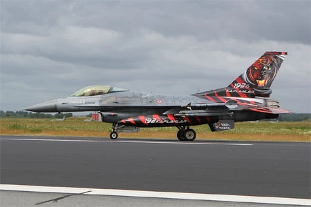 Ngắm các chiến đấu cơ "hổ báo" nhất thế giới ảnh 2