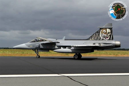 Ngắm các chiến đấu cơ "hổ báo" nhất thế giới ảnh 1