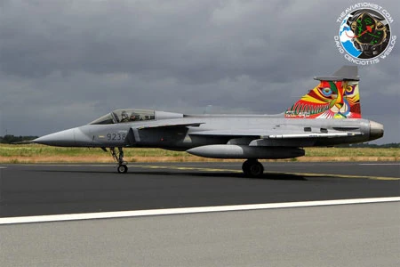 Ngắm các chiến đấu cơ "hổ báo" nhất thế giới ảnh 6